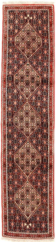 Bidjar  Carpet 255x57