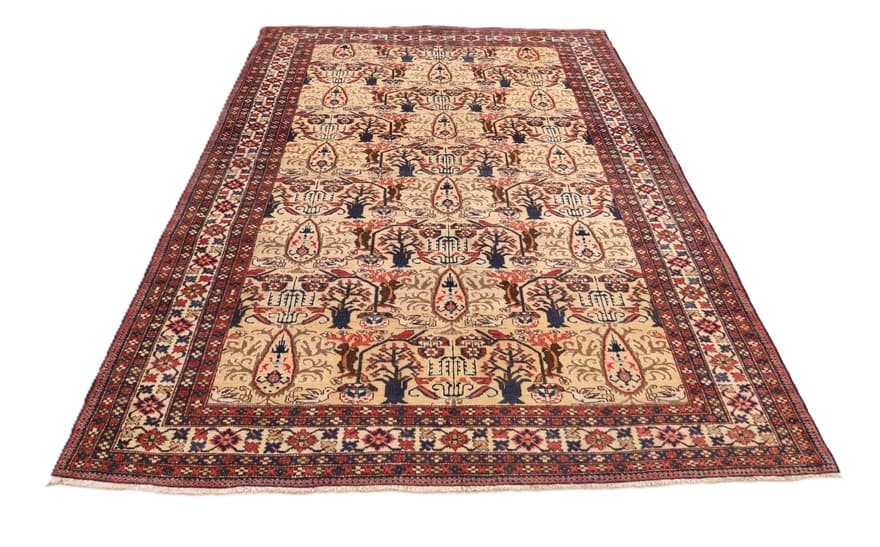 Azrbeijan Teppich 254x169