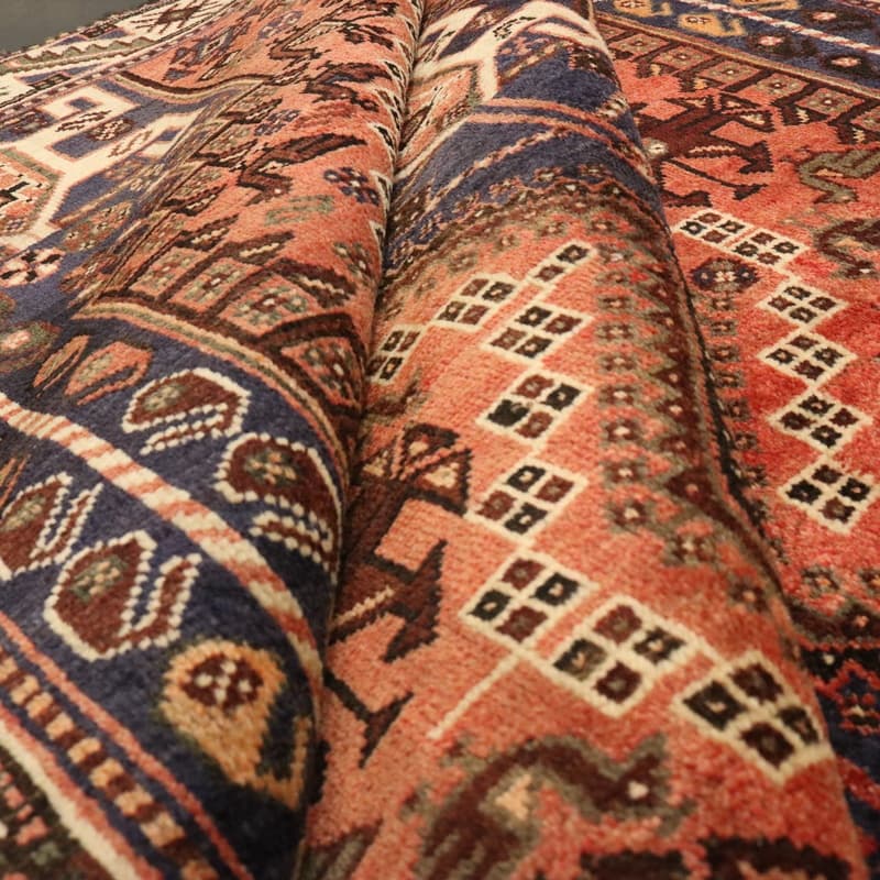 Shiraz Carpet 265x173