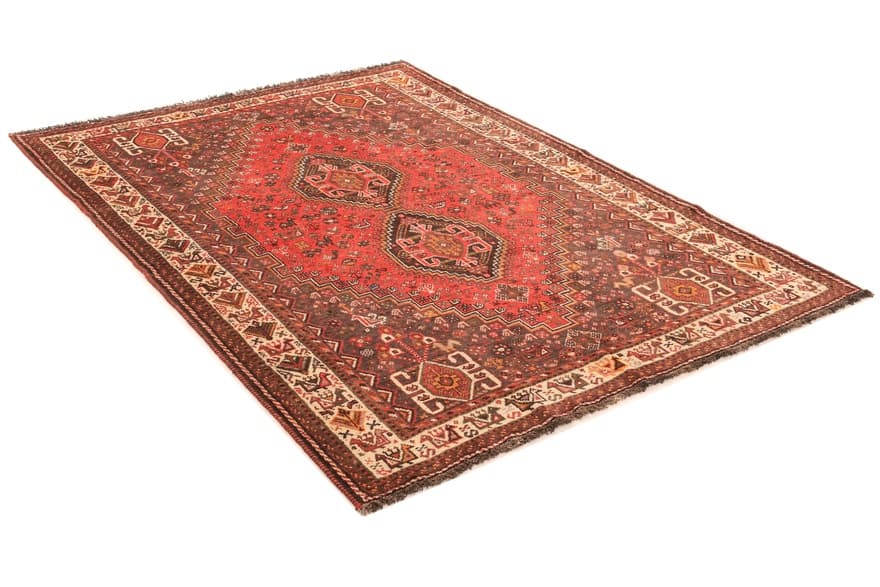 Schiraz 244x181