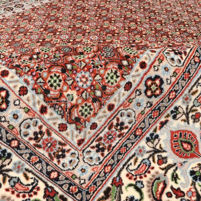 Moud Carpet 247x199