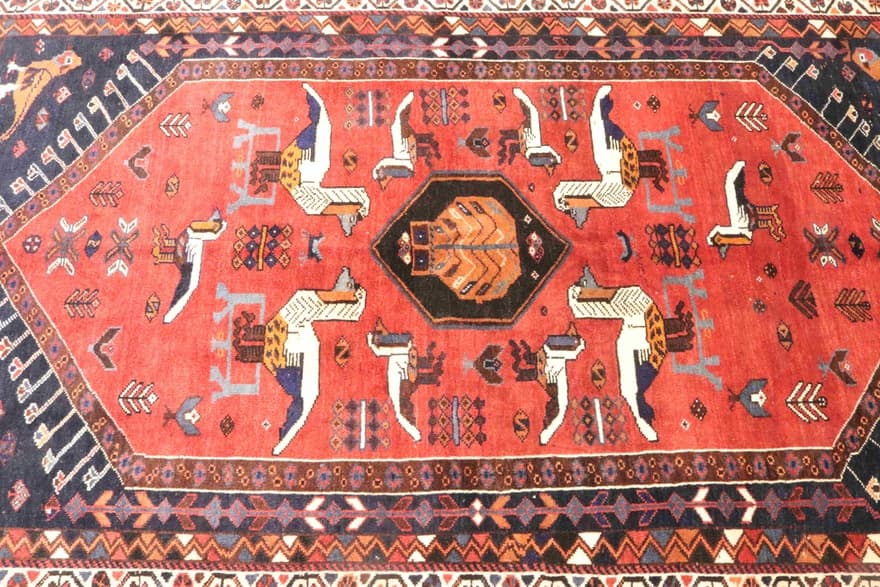 Ghashghai Teppich 253x164