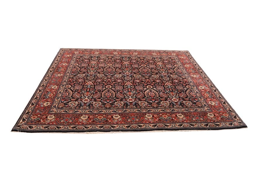 Bidjar Carpet 243x252