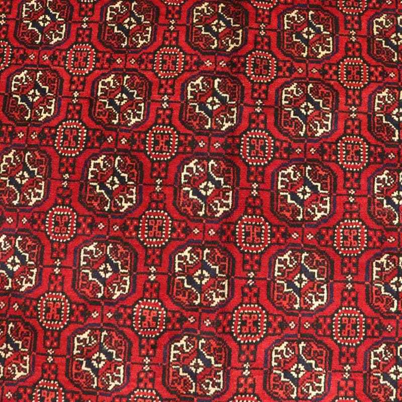 Kurdi Teppich 284x184
