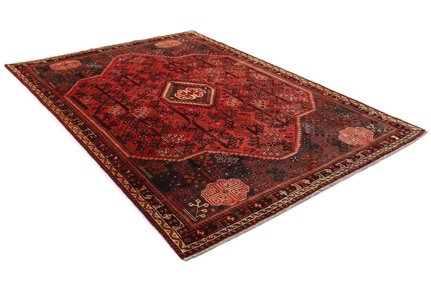 Schiraz Carpet 291x206