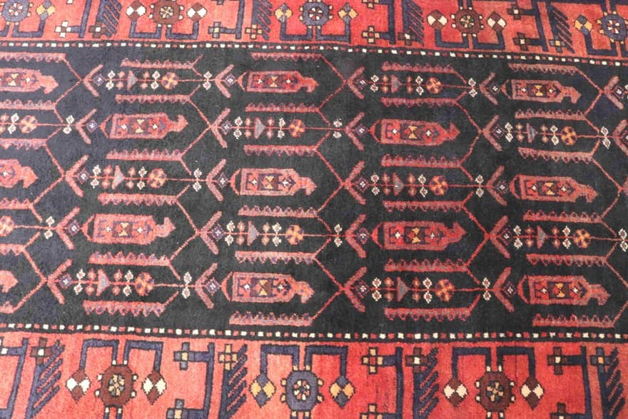 Hamadan Teppich 308x108
