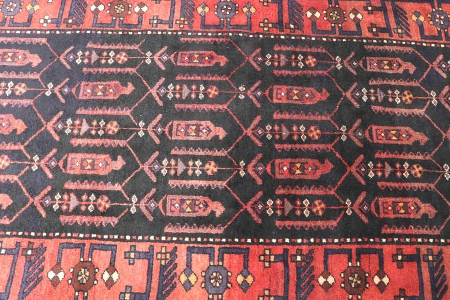 Hamadan Carpet 308x108