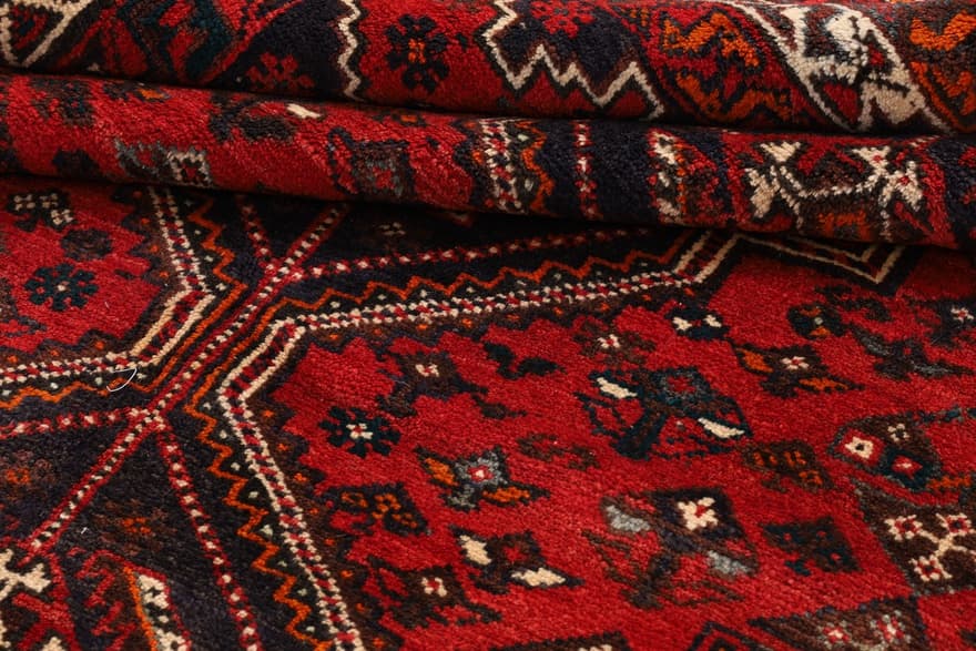 Schiraz 262x182