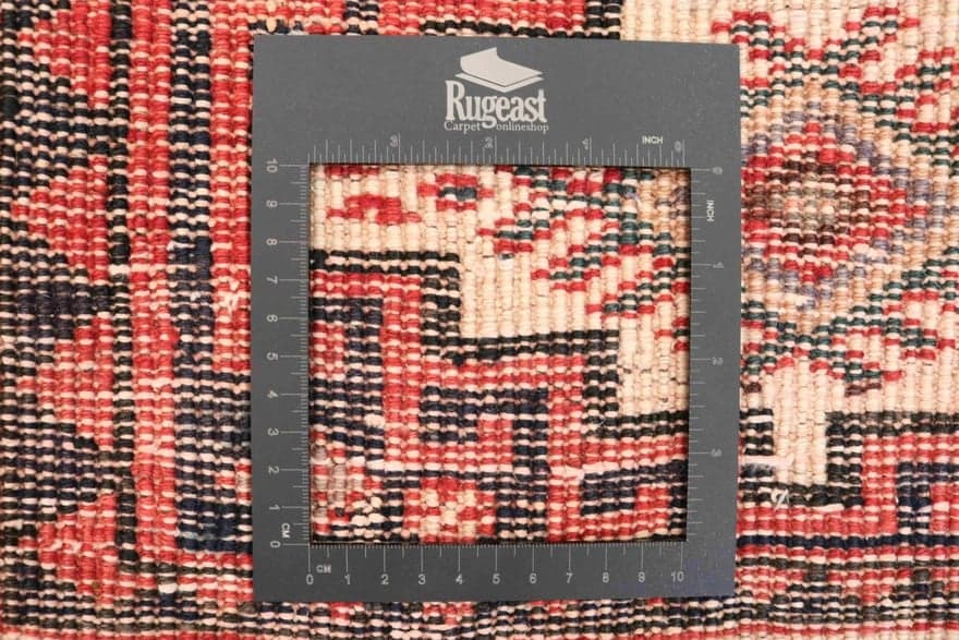 SHIRAZ 250x176 - Image 3