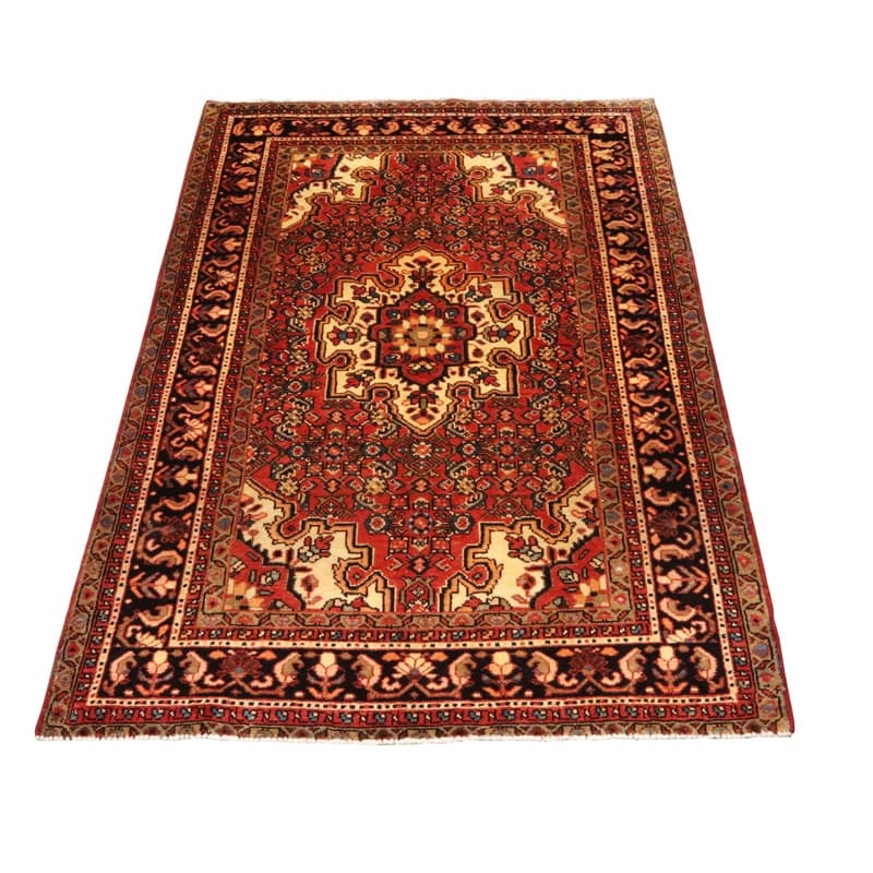 HOSEANABAD Teppich 212x140