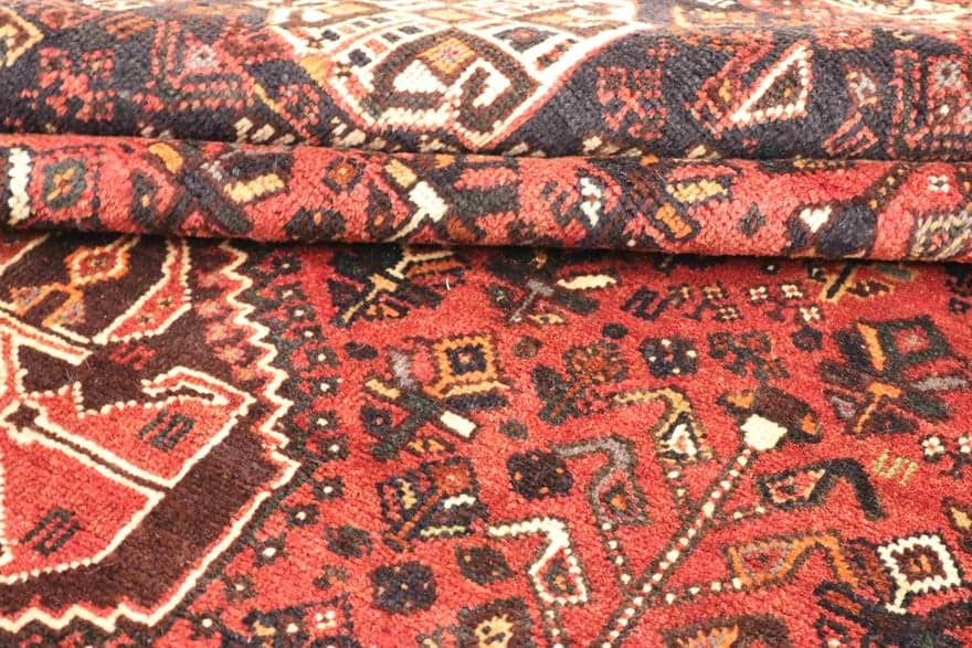 SHIRAZ 248x179 - Image 4
