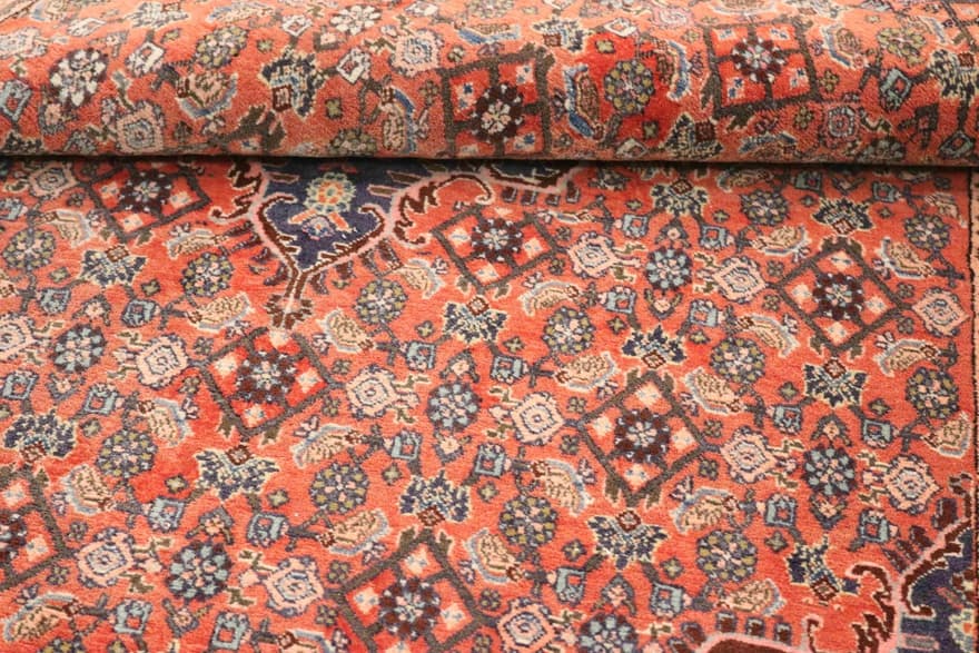 Bidjar 173x117