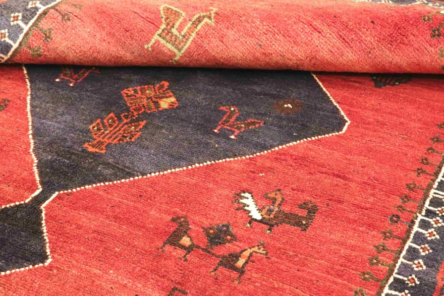 SHIRAZ 240x155 - Image 6
