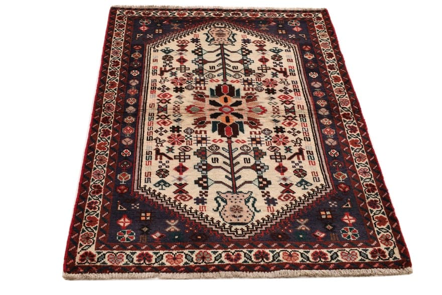 Schiraz 153x100 - Image 5
