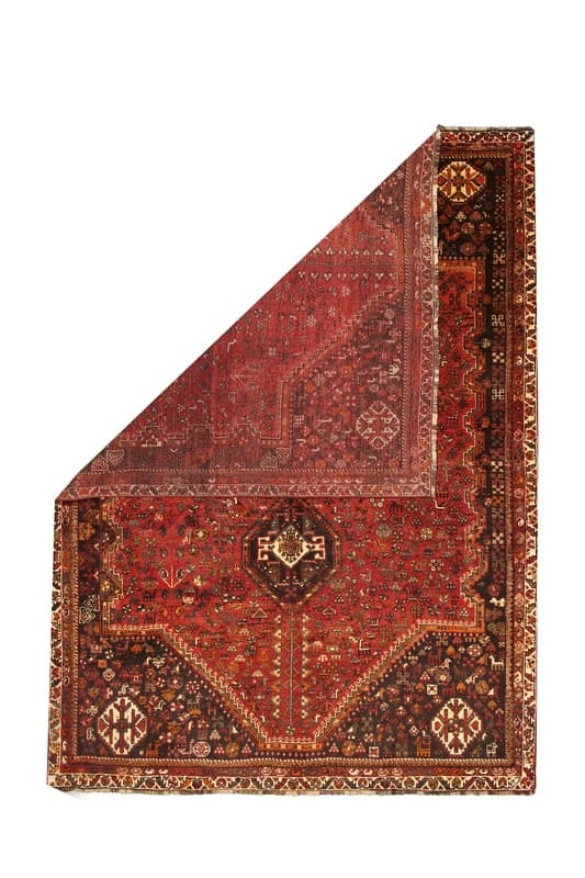 Shiraz Carpet 296x215