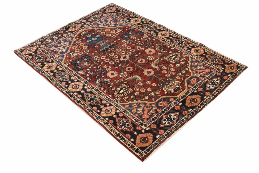 BAKHTIAR 203x153 - Image 4