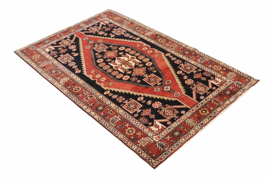 SHAHSAVAN 228x144 - Image 3