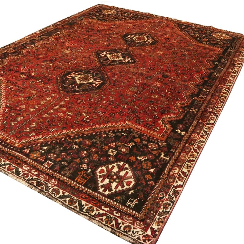 Shiraz Carpet 296x215