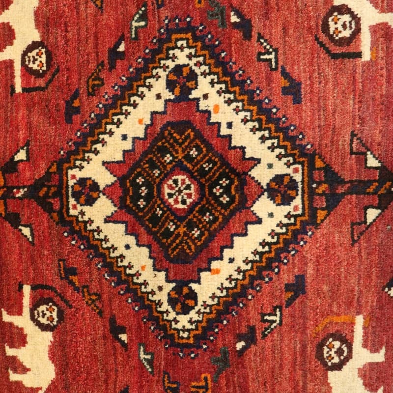 SHIRAZ 235x165