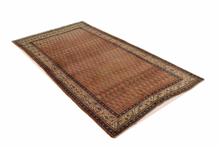 Malayer 313x160