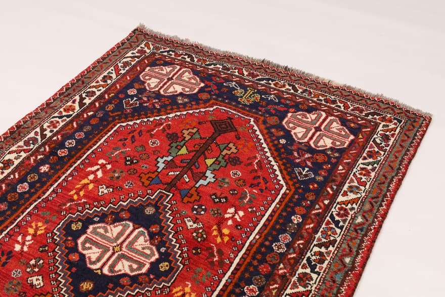 SHIRAZ 204x125 - Image 5