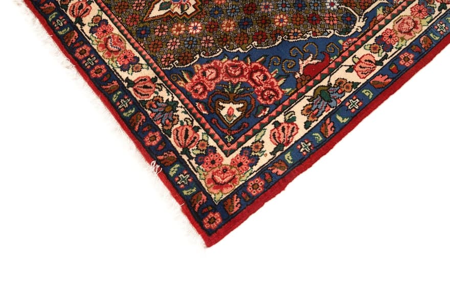 BAKHTIAR Teppich 163x101
