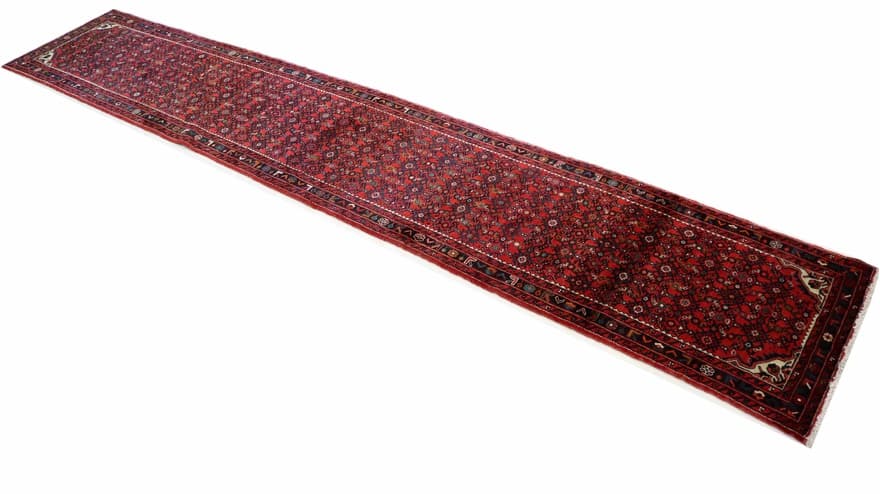 Hossenabad Carpet 494x87