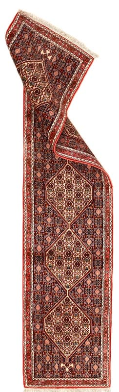 Bidjar  Carpet 255x57
