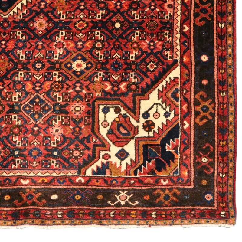 HOSEANABAD Carpet 218x157