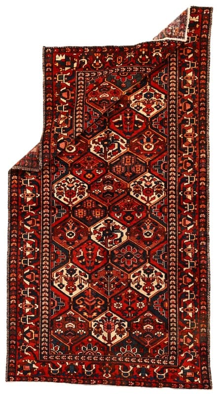 BAKHTIAR Carpet  302x160 - Image 3