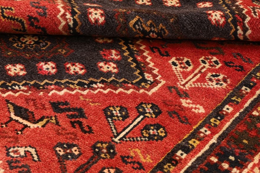 Schiraz Carpet 233x142