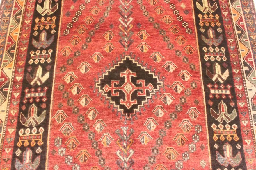Shiraz 252x165