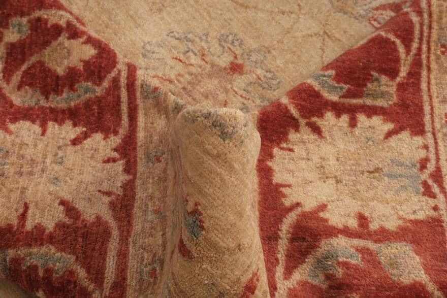 Ziegler Teppich 298x194 - Image 5