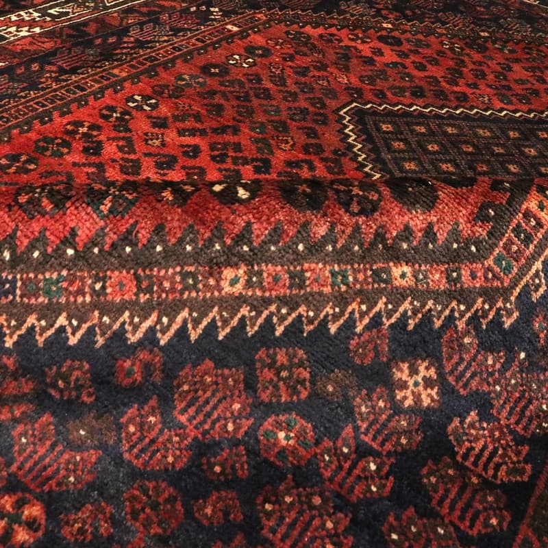Shiraz 285x205