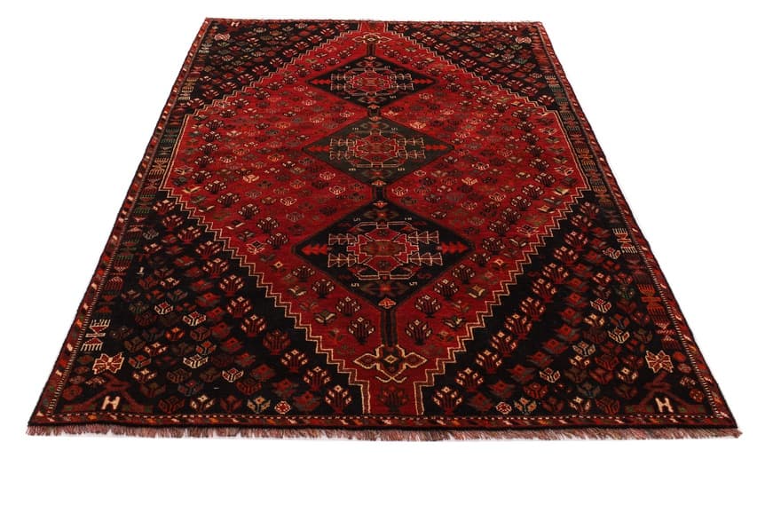 Schiraz Carpet 256x150