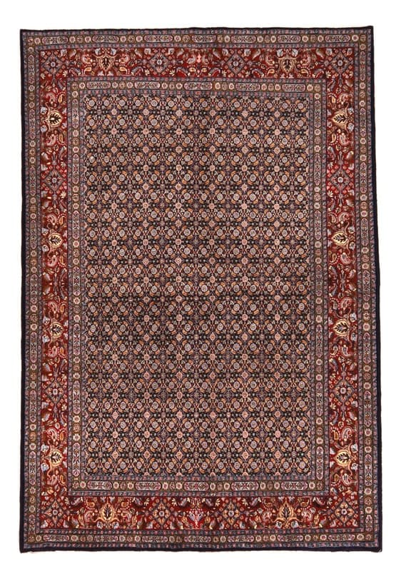 Moud Carpet 228x156