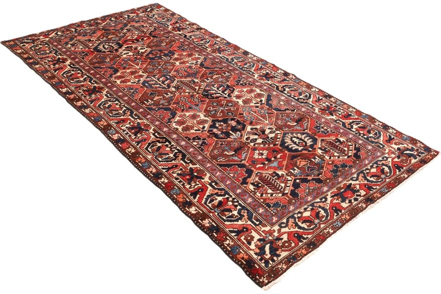BAKHTIAR Teppich  306x154 - Image 6