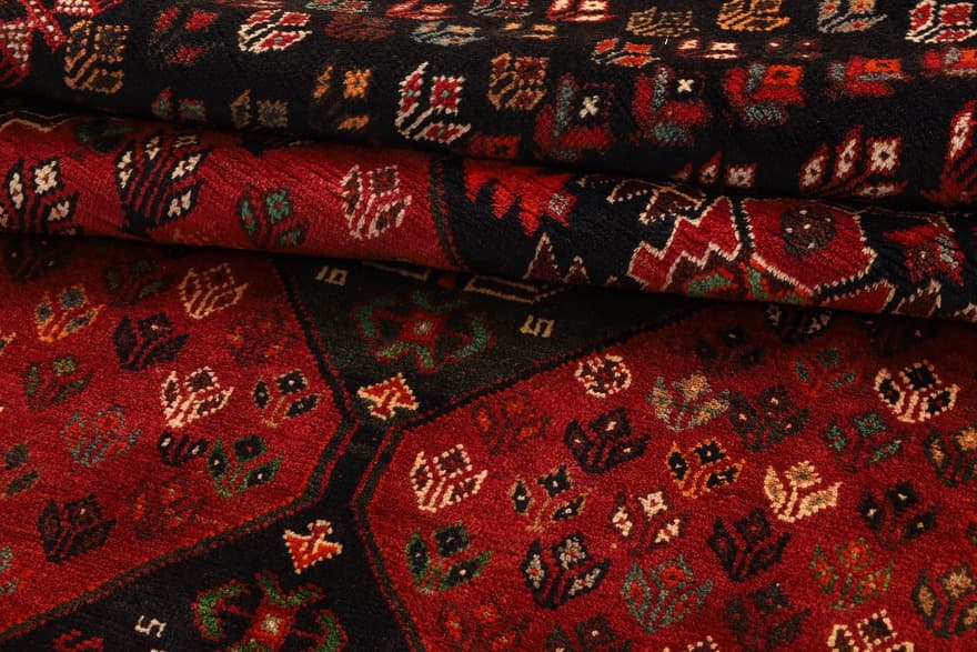 Schiraz Carpet 256x150