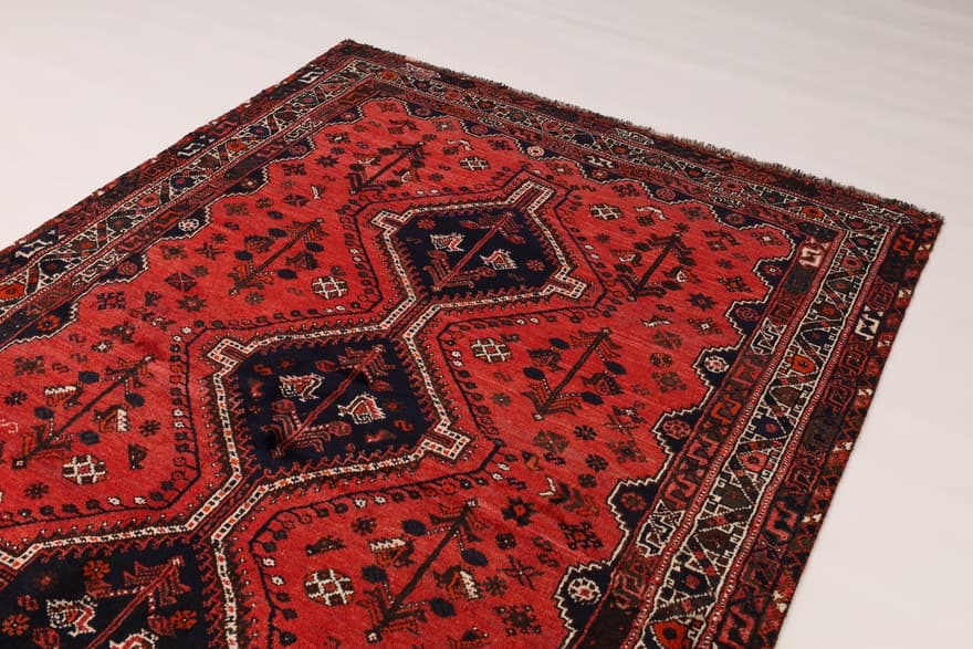 SHIRAZ Teppich 252x173 - Image 4