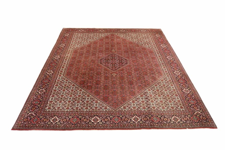 Bidjar Carpet 347x249