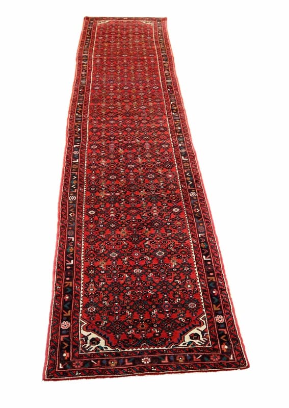 Hossenabad Carpet 494x87