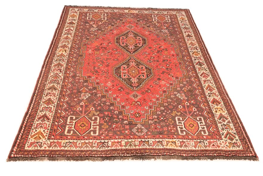 Schiraz 244x181