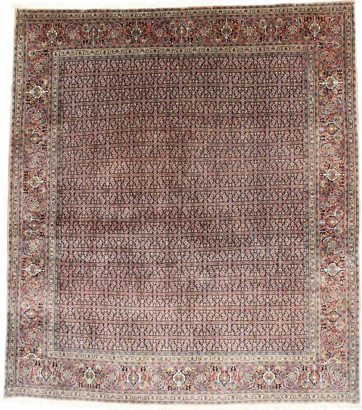 Bidjar Teppich 340x300