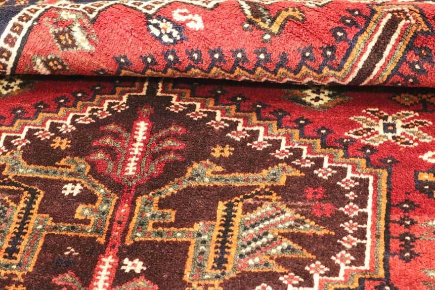 SHIRAZ 251x164 - Image 4