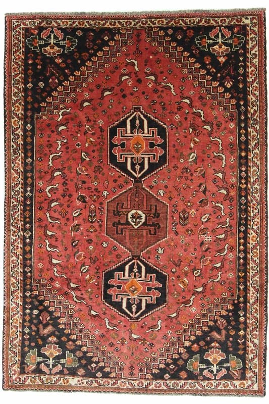 Shiraz 262x183