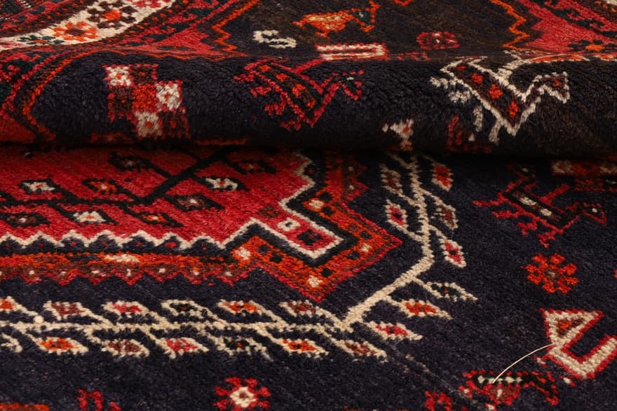 Schiraz Carpet 248x158