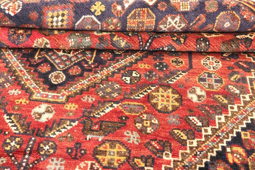 SHIRAZ 230x146 - Image 3