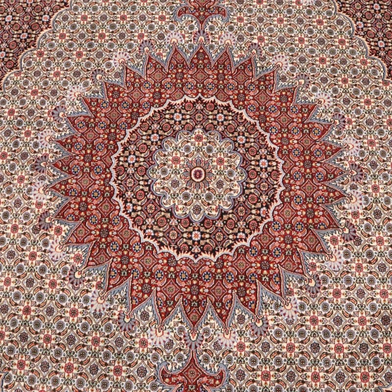 Moud Teppich 345x251