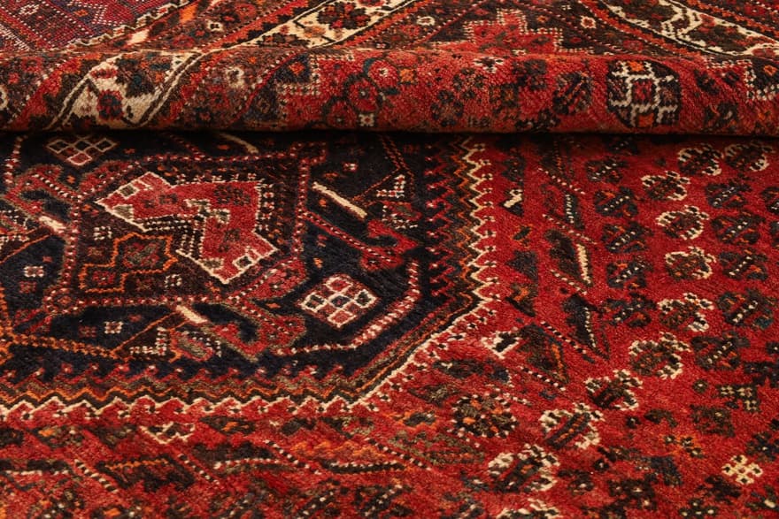 Schiraz 300x205 - Image 6