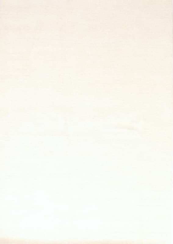 LORIBAF 306x198